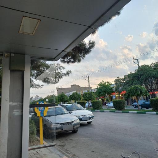 عکس  چمن 57