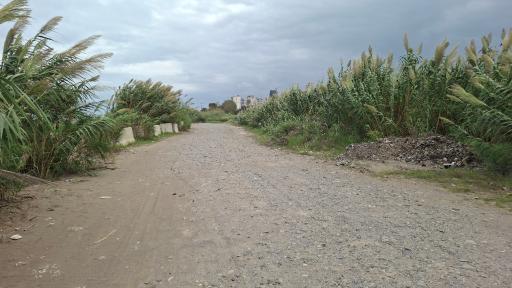 عکس پارک ساحلی سرخرود 