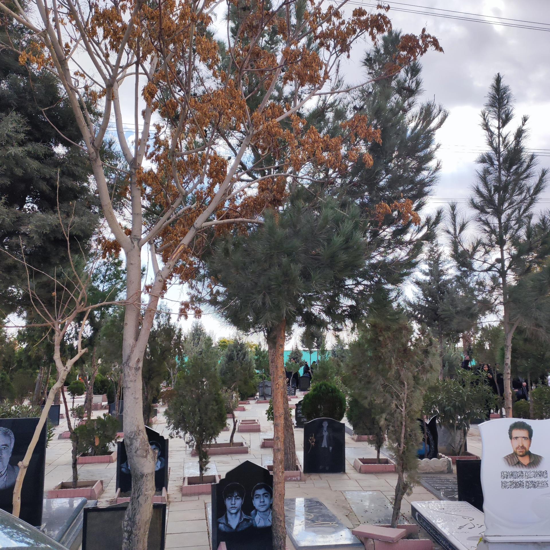 عکس امور آرامستان های شهرداری باغستان (بهشت فاطمه)