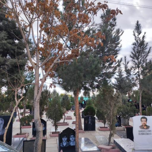 عکس امور آرامستان های شهرداری باغستان (بهشت فاطمه)