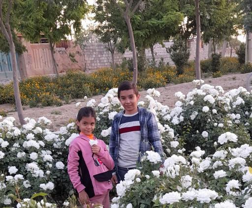 عکس بوستان زندگی 