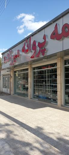 عکس تسمه پروانه میرزاده