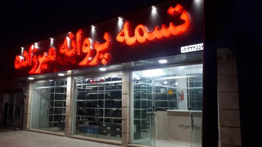 عکس تسمه پروانه میرزاده