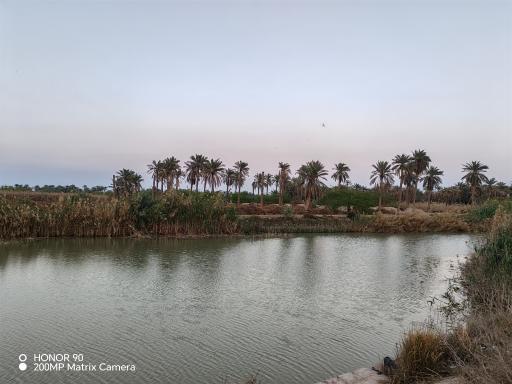 پارک ساحلی بهمنشیر