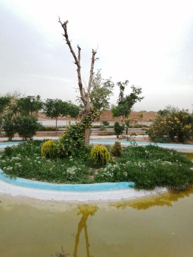 عکس بوستان زندگی 