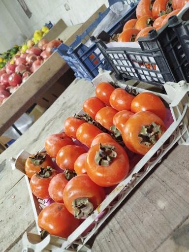 عکس میوه فروشی سید