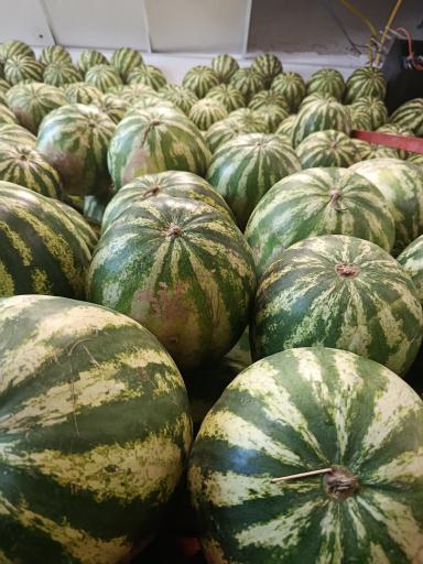 عکس میدان میوه و تره بار پیروزی