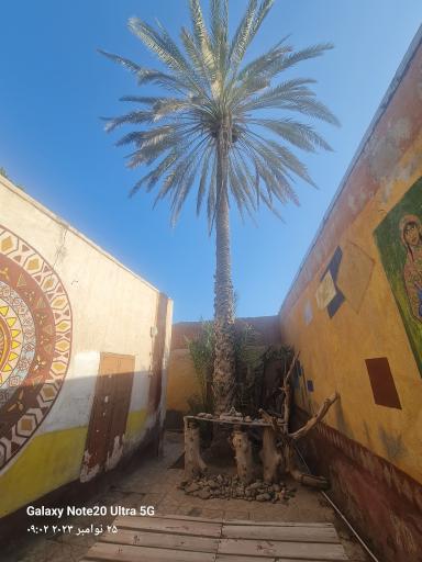 عکس موزه دکتر نادعلیان