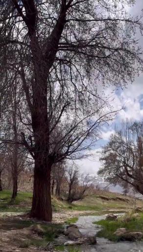 عکس چشمه شیخ یوسف