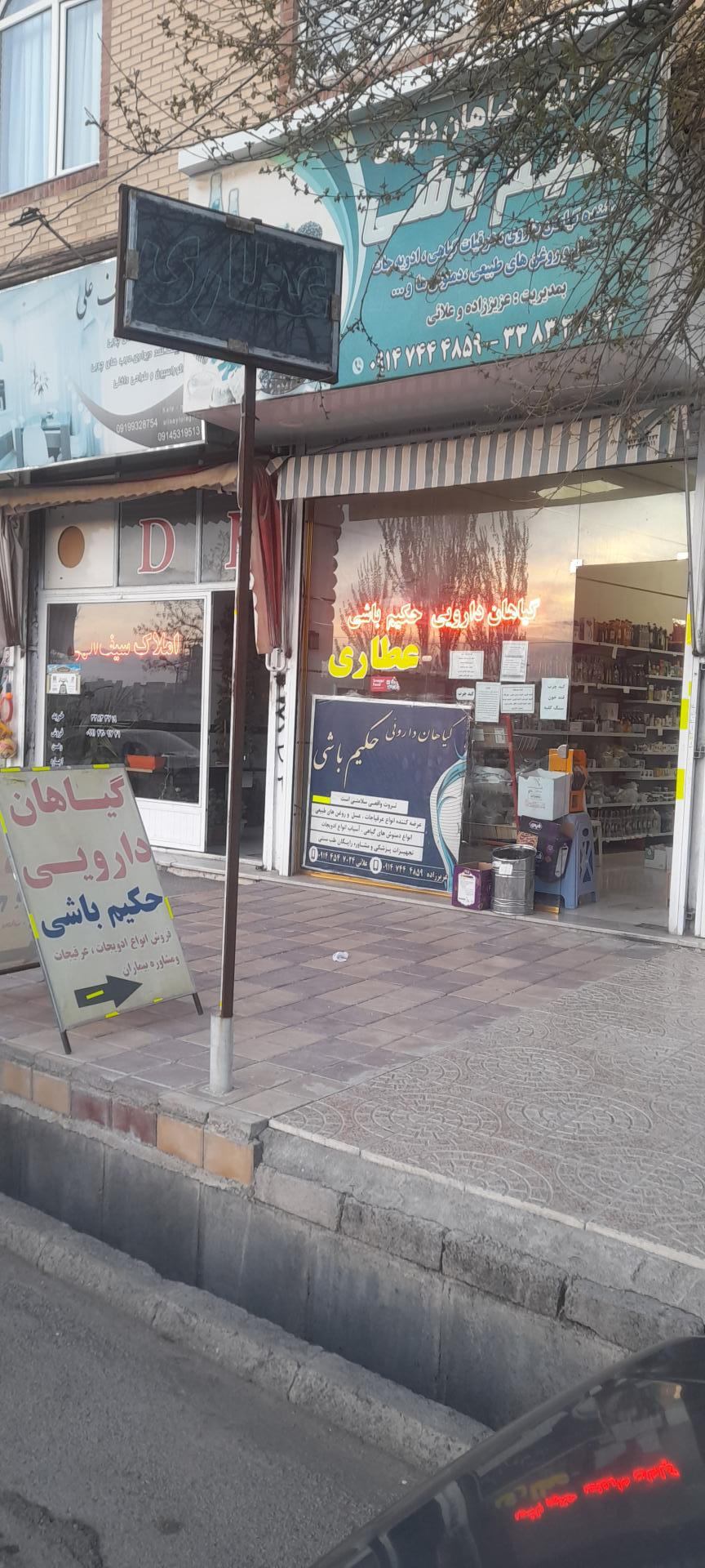 عکس گیاهان دارویی حکیم باشی اردبیل