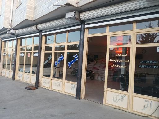 عکس اتوگالری و نمایشگاه ماشین سید رئوف زارعی (کلاسیک) 