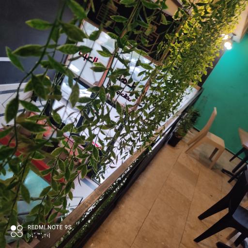 کترینگ امید