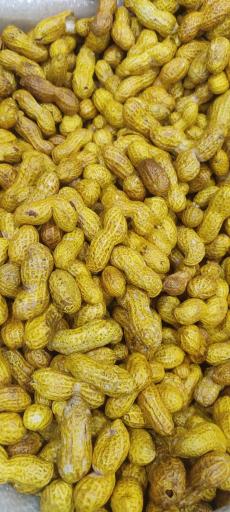 تولید و فروش عمده بادام زمینی و تخمه کارگاه بابامیری بوکان