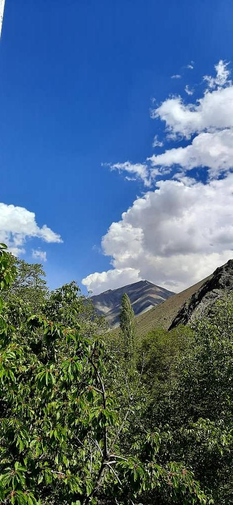 عکس کوچه وامستون