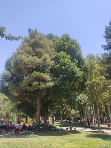 عکس پارک وحدت