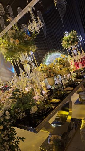 عکس تالار و سالن تشریفات پاپیون