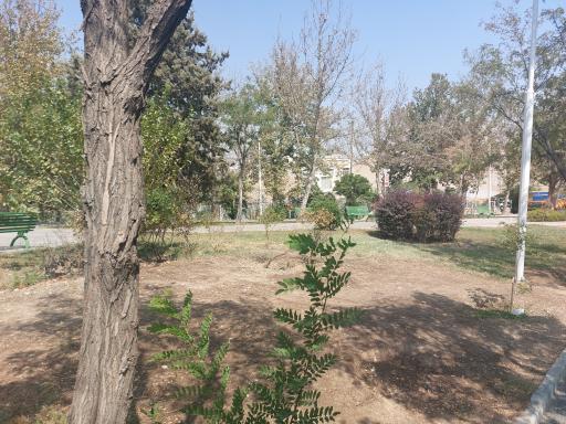 عکس بوستان پامچال