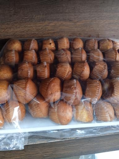 عکس نان فانتزی توکل