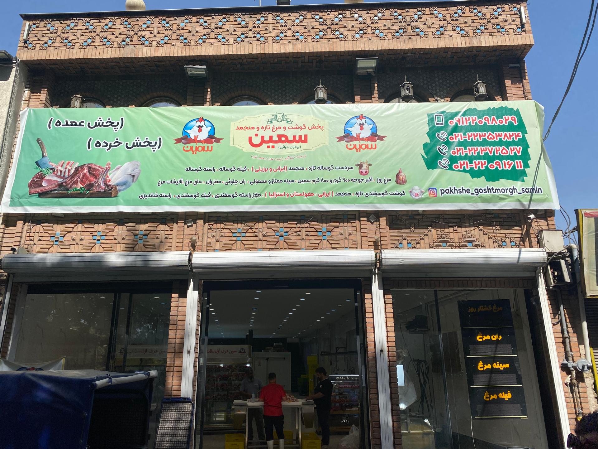 عکس پخش مرغ سمین فرحزاد
