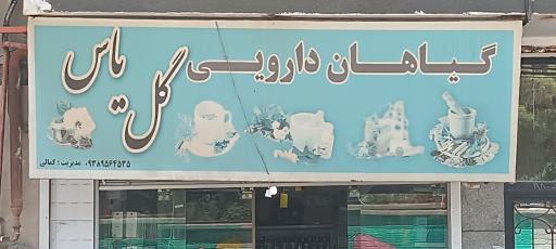 عکس گیاهان دارویی گل یاس
