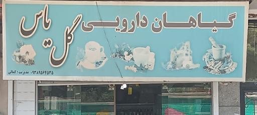 عکس گیاهان دارویی گل یاس