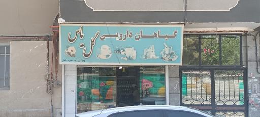 عکس گیاهان دارویی گل یاس