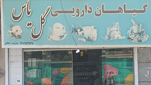 عکس گیاهان دارویی گل یاس