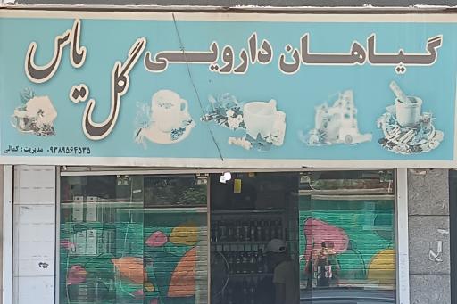 عکس گیاهان دارویی گل یاس