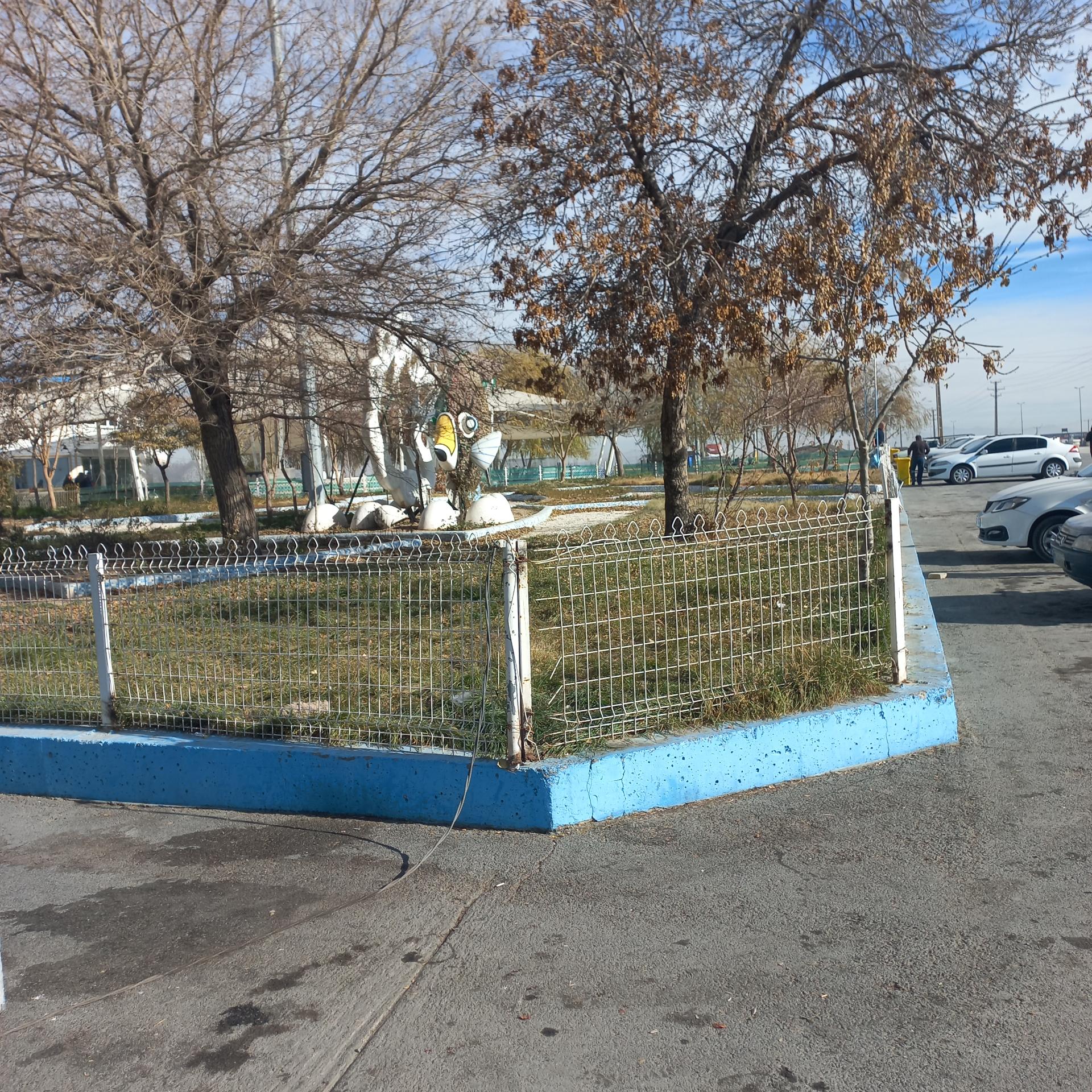 عکس ماهی سرا