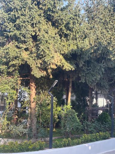 عکس ارمانیا هتل