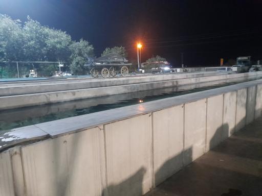 عکس ماهی سرا