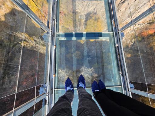 عکس پل معلق شیشه ای هیر