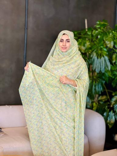 عکس گالری موژان