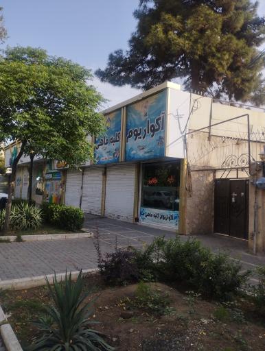 عکس آکواریوم کلبه ماهی