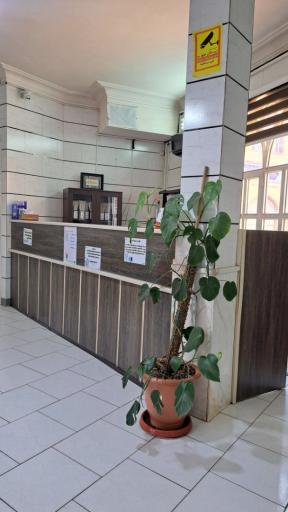عکس دندانپزشکی دکتر روستایی