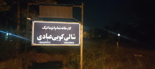 عکس شالیکوبی نوری عبادی