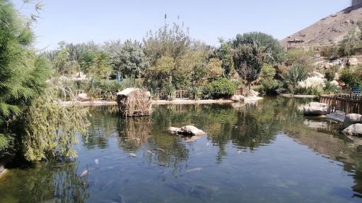 عکس دریاچه پارک آبشار بافق