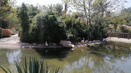 عکس دریاچه پارک آبشار بافق