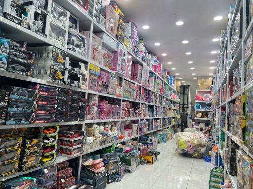 واردات و پخش اسباب بازی برازنده
