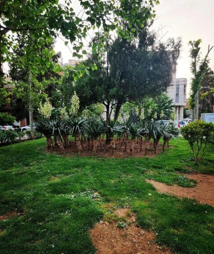 عکس میدان چهل و هشتم