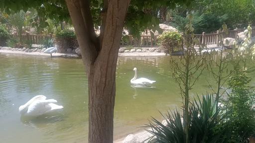 عکس دریاچه پارک آبشار بافق