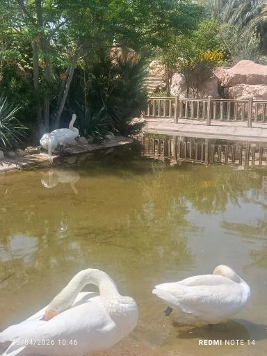 عکس دریاچه پارک آبشار بافق