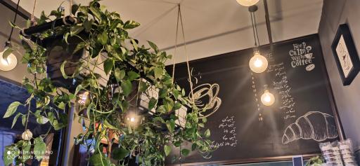 عکس کافه بامبو