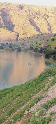 عکس دشت سوسن