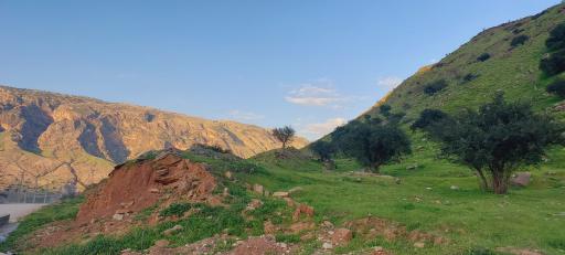 عکس دشت سوسن