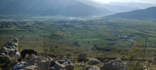 عکس دشت سوسن