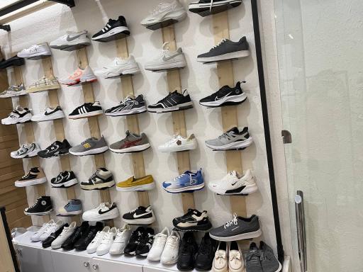 عکس کفش پاشا