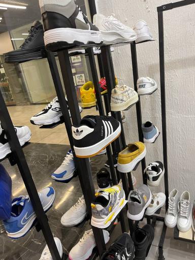 عکس کفش پاشا