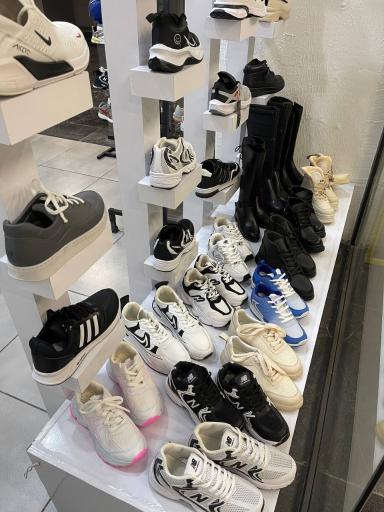 عکس کفش پاشا