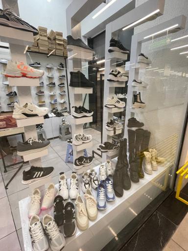 عکس کفش پاشا